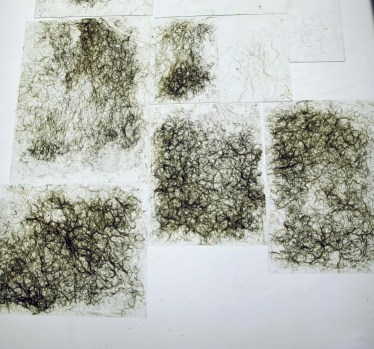 Remnants of Seeds Grown to the Sound of Lectures on 20th Century Art History. 2011. Glass, roots. Description: Roots grown onto glass, illuminated by lightbox and overhead projector. 