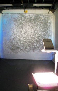 Remnants of Seeds Grown to the Sound of Lectures on 20th Century Art History. 2011. Glass, roots. Description: Roots grown onto glass, illuminated by lightbox and overhead projector. 