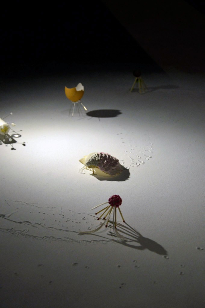 1267490_10153250292855643_1546029029_o