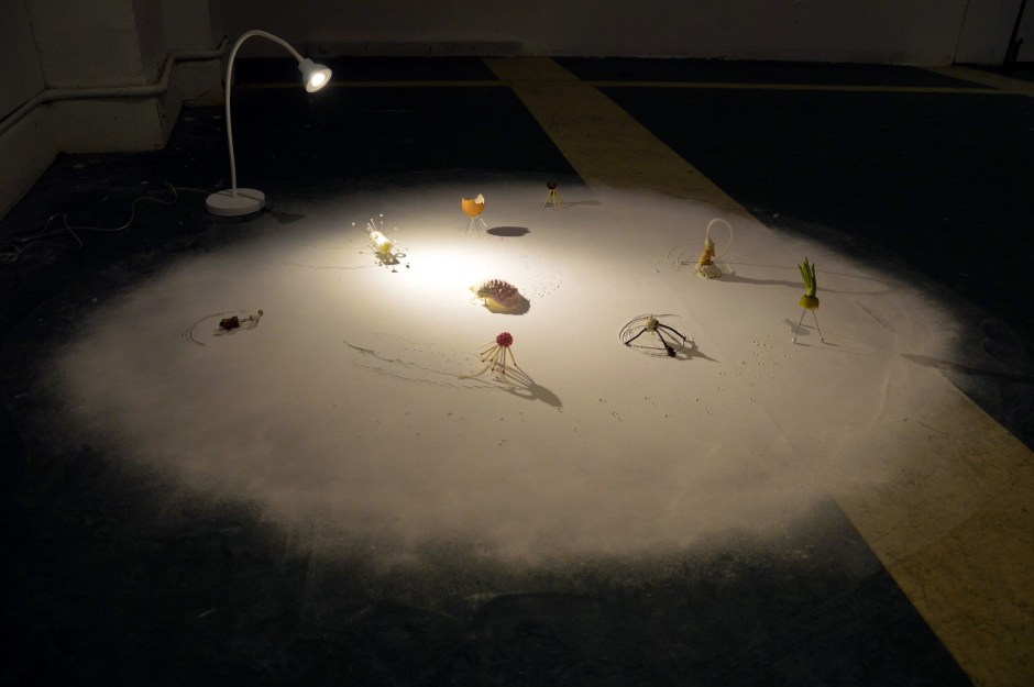 1277446_10153250292885643_1225879029_o