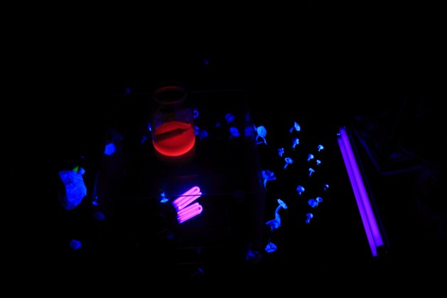 tumblr_n8cbbgySRQ1t8brlho1_1280