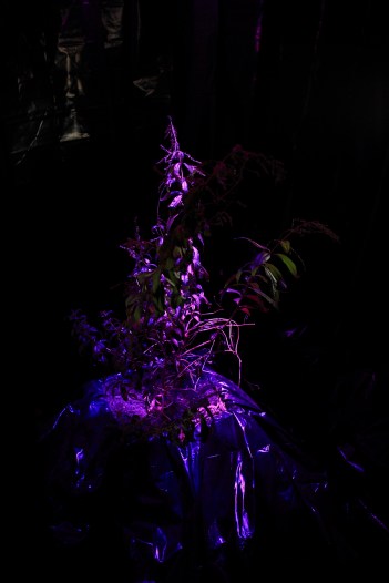 tumblr_n8cbbgySRQ1t8brlho2_1280