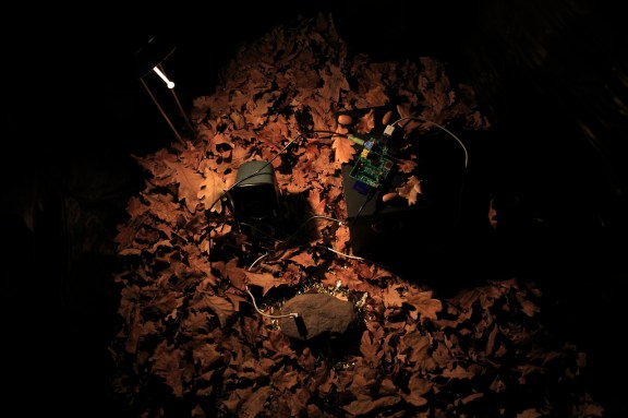 tumblr_n8cc1lWtqA1t8brlho3_r1_1280