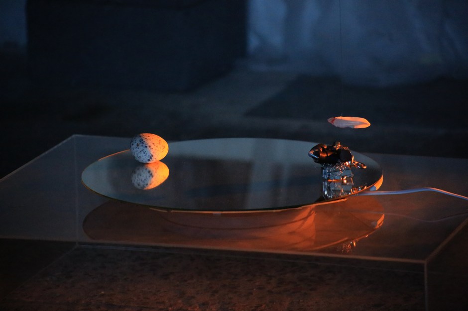 SurfaceTensions-NPJ-VisualBulk-Nov2018-5