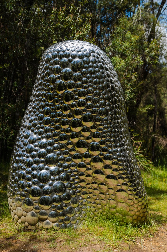 Forest_Specular-3195