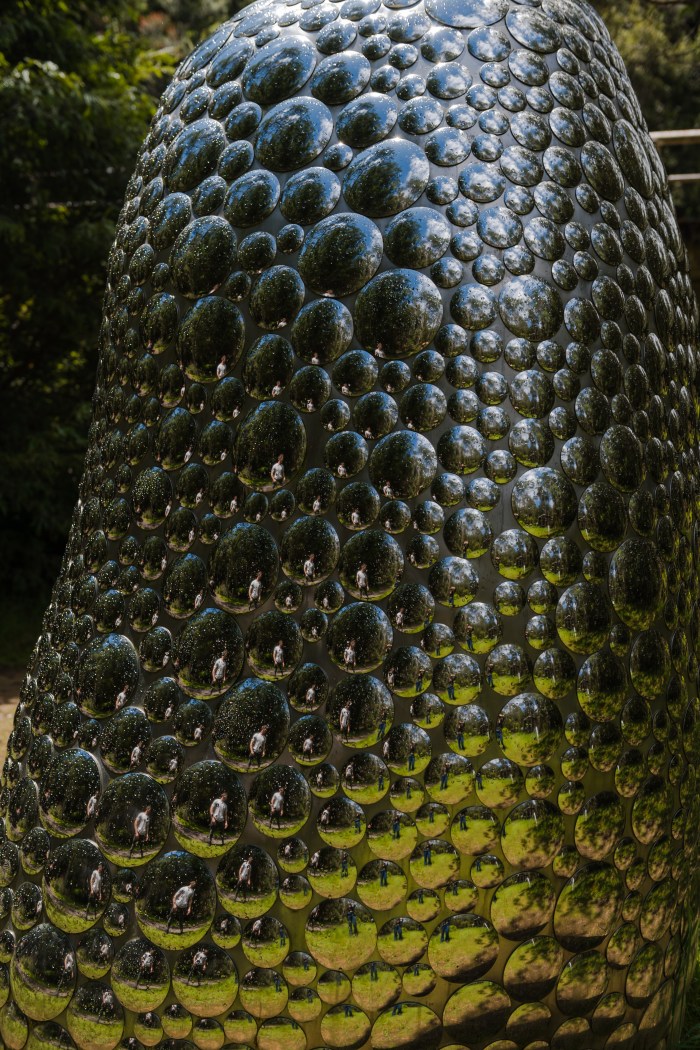 Forest_Specular-3277