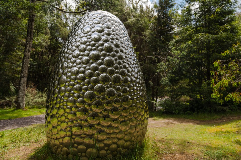 Forest_Specular-3369